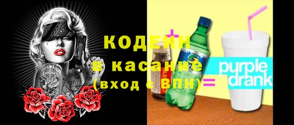 крисы Бородино