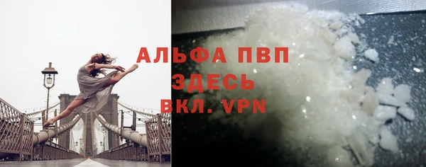 крисы Бородино