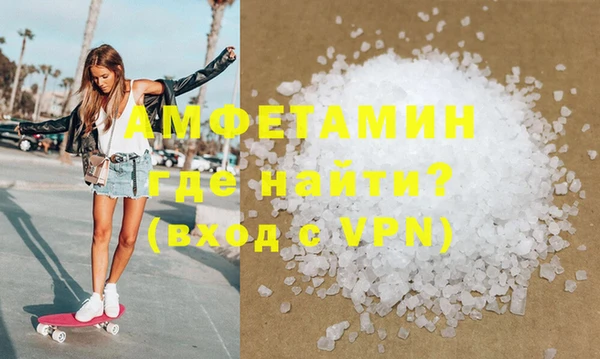 крисы Бородино