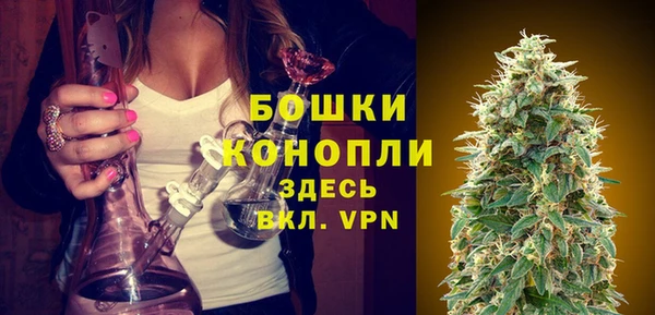 первитин Богданович