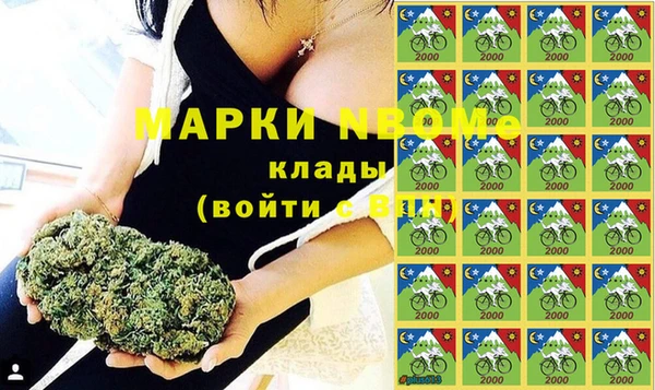 стафф Бронницы