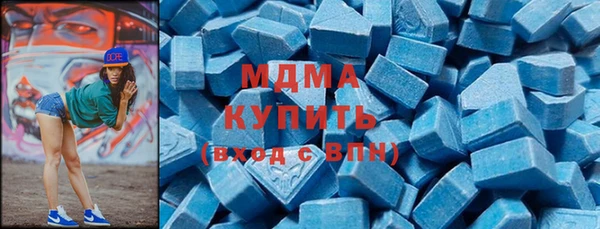 крисы Бородино