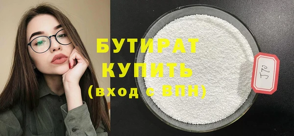 крисы Бородино